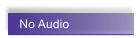 No Audio