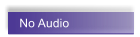 No Audio